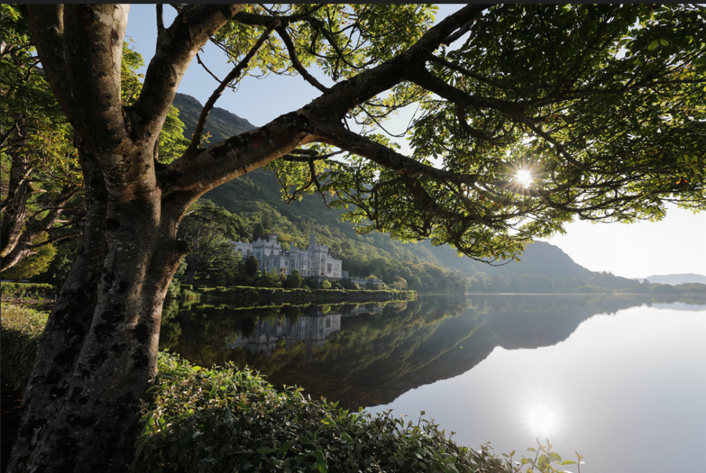 view of the lake