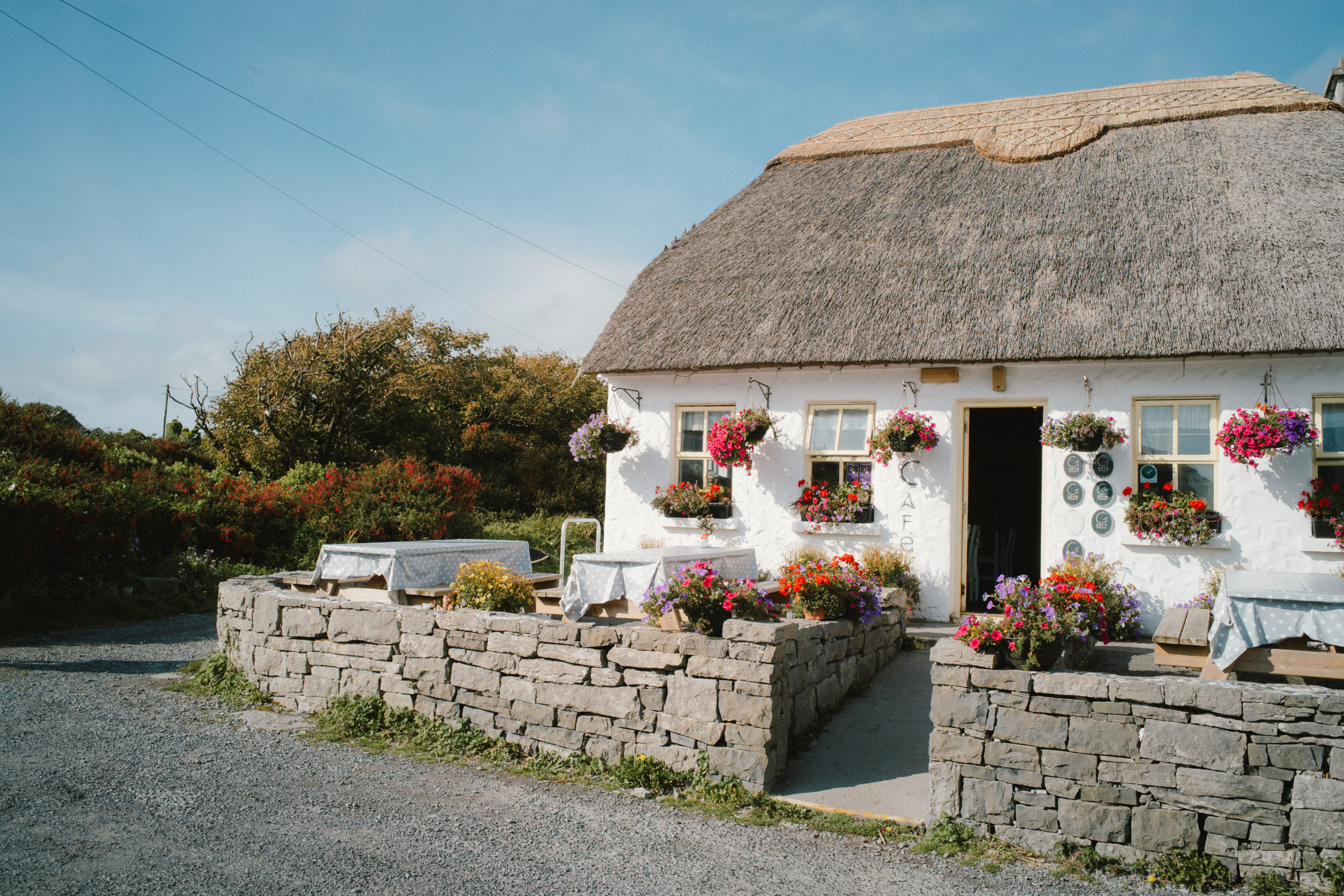 Food on the Edge: A Culinary Adventure in Connemara